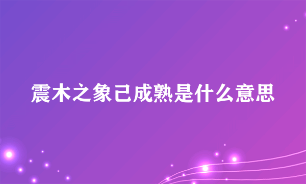 震木之象己成熟是什么意思