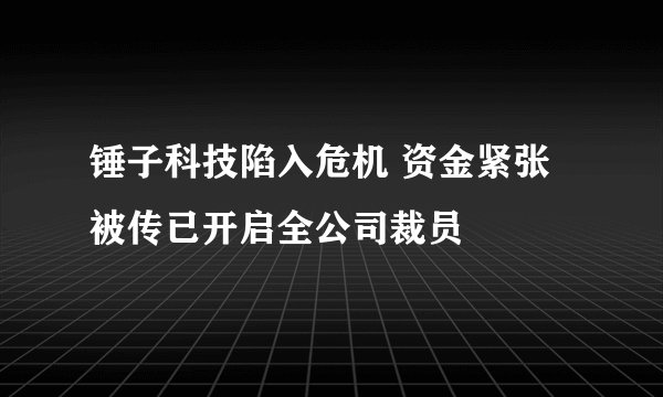 锤子科技陷入危机 资金紧张被传已开启全公司裁员