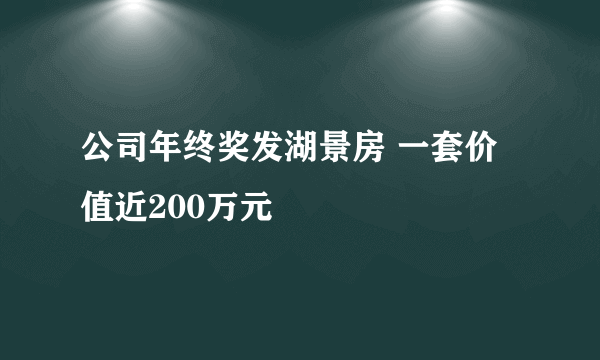 公司年终奖发湖景房 一套价值近200万元