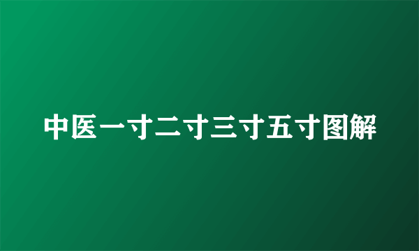 中医一寸二寸三寸五寸图解