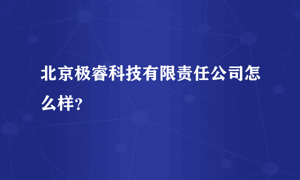 北京极睿科技有限责任公司怎么样？