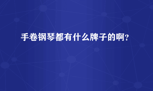 手卷钢琴都有什么牌子的啊？