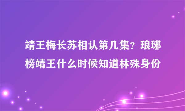 靖王梅长苏相认第几集？琅琊榜靖王什么时候知道林殊身份