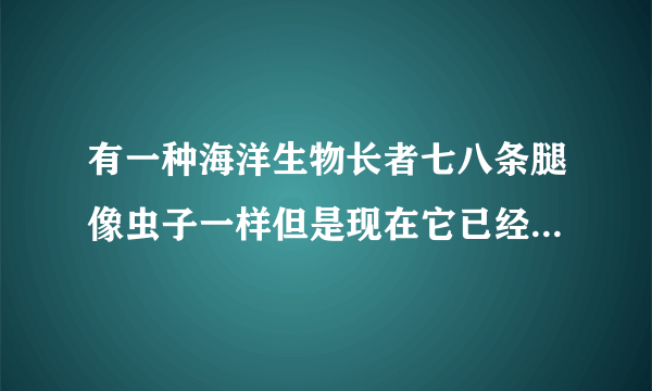 有一种海洋生物长者七八条腿像虫子一样但是现在它已经灭绝了的是什么海洋生物