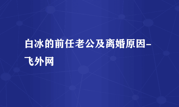 白冰的前任老公及离婚原因-飞外网