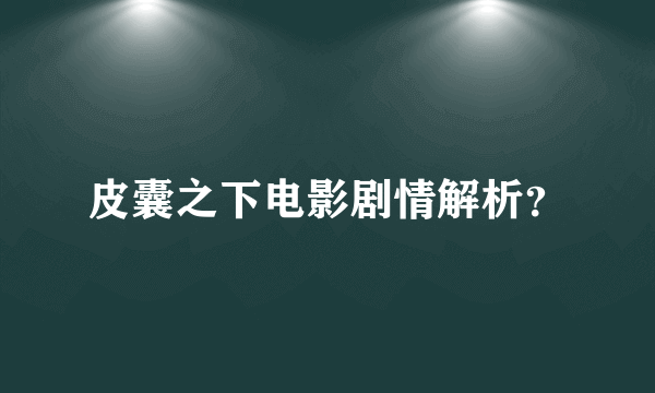 皮囊之下电影剧情解析？