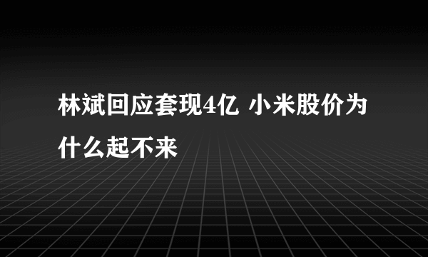 林斌回应套现4亿 小米股价为什么起不来