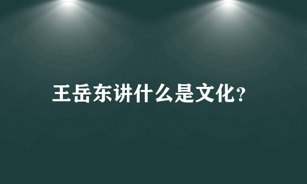 王岳东讲什么是文化？