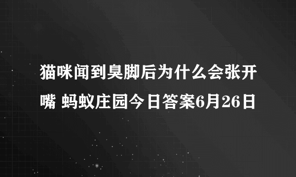 猫咪闻到臭脚后为什么会张开嘴 蚂蚁庄园今日答案6月26日