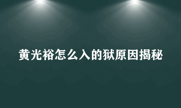 黄光裕怎么入的狱原因揭秘