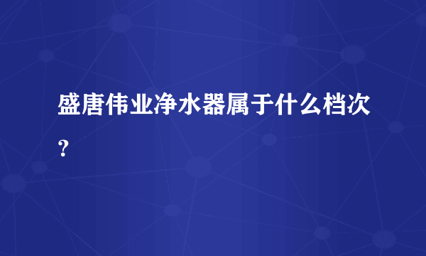 盛唐伟业净水器属于什么档次？