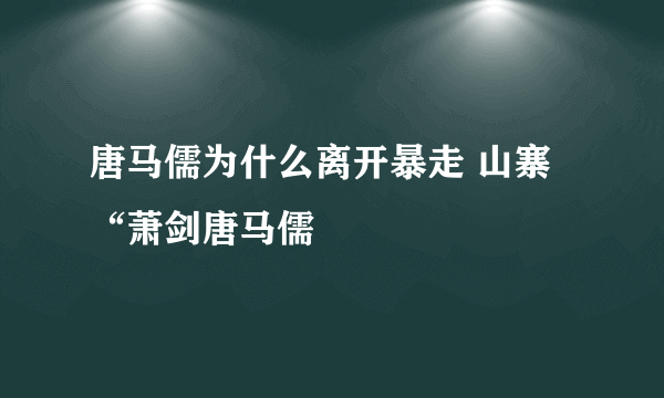 唐马儒为什么离开暴走 山寨“萧剑唐马儒