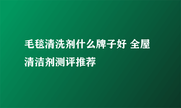 毛毯清洗剂什么牌子好 全屋清洁剂测评推荐