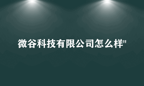 微谷科技有限公司怎么样