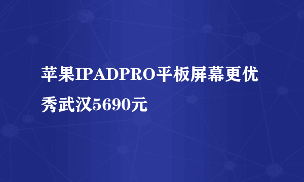 苹果IPADPRO平板屏幕更优秀武汉5690元