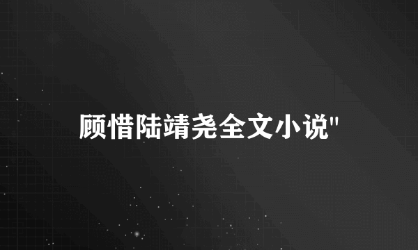 顾惜陆靖尧全文小说