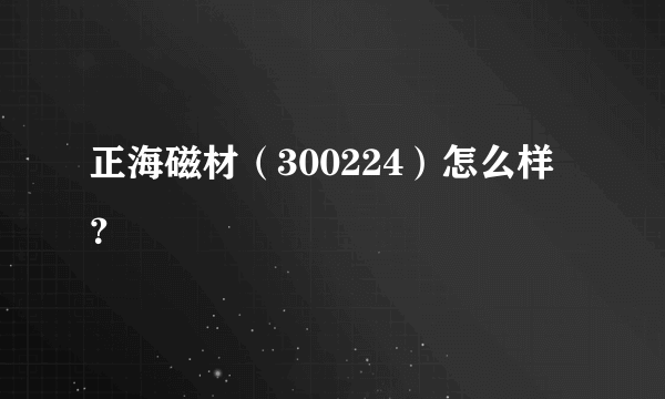 正海磁材（300224）怎么样？