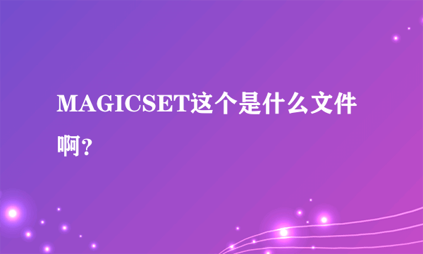 MAGICSET这个是什么文件啊？