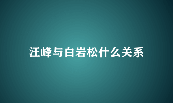 汪峰与白岩松什么关系