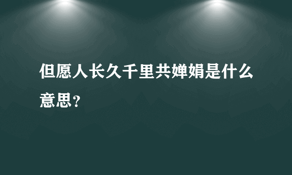 但愿人长久千里共婵娟是什么意思？