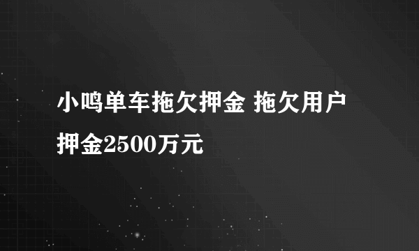 小鸣单车拖欠押金 拖欠用户押金2500万元