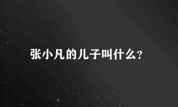 张小凡的儿子叫什么？