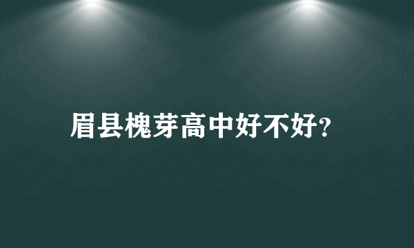 眉县槐芽高中好不好？