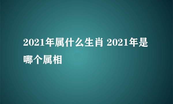 2021年属什么生肖 2021年是哪个属相