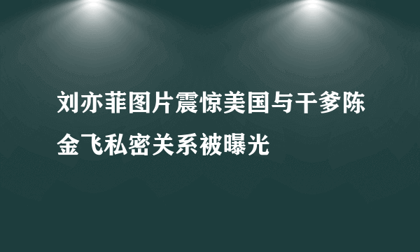 刘亦菲图片震惊美国与干爹陈金飞私密关系被曝光