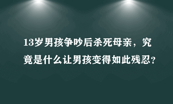 13岁男孩争吵后杀死母亲，究竟是什么让男孩变得如此残忍？