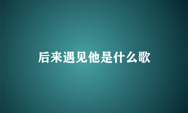 后来遇见他是什么歌