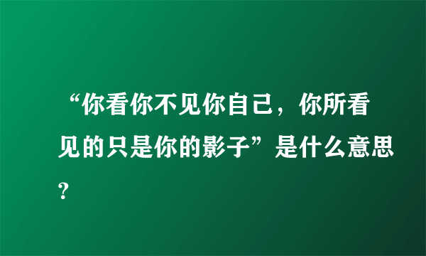 “你看你不见你自己，你所看见的只是你的影子”是什么意思？