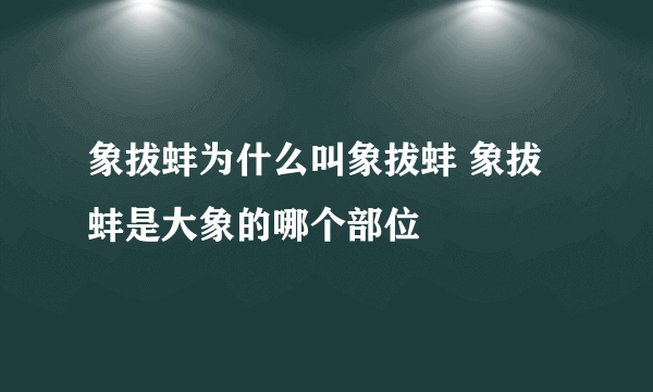 象拔蚌为什么叫象拔蚌 象拔蚌是大象的哪个部位