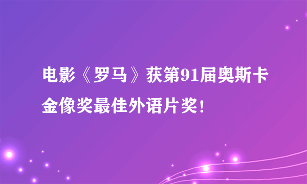 电影《罗马》获第91届奥斯卡金像奖最佳外语片奖！