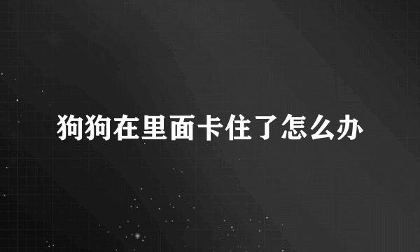 狗狗在里面卡住了怎么办