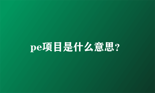 pe项目是什么意思？