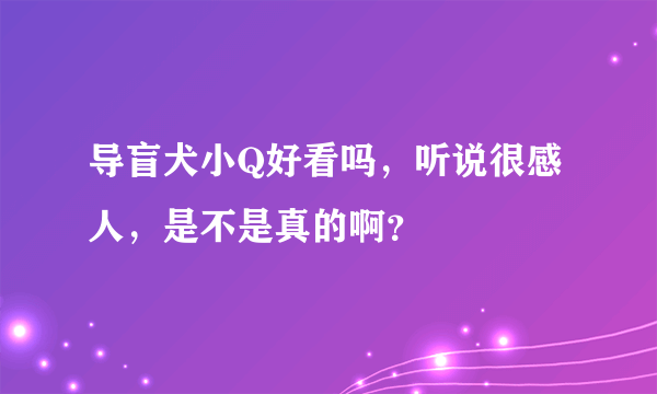 导盲犬小Q好看吗，听说很感人，是不是真的啊？