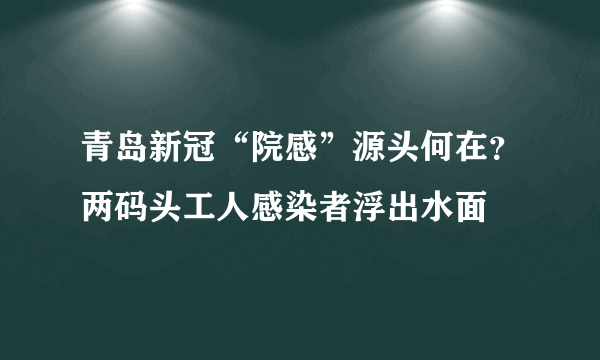 青岛新冠“院感”源头何在？两码头工人感染者浮出水面