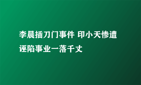 李晨插刀门事件 印小天惨遭诬陷事业一落千丈