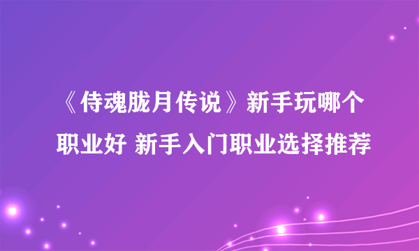 《侍魂胧月传说》新手玩哪个职业好 新手入门职业选择推荐