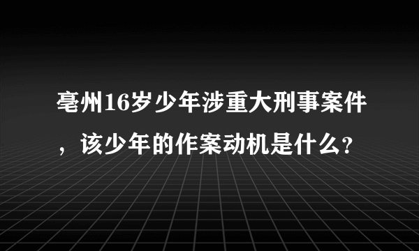 亳州16岁少年涉重大刑事案件，该少年的作案动机是什么？