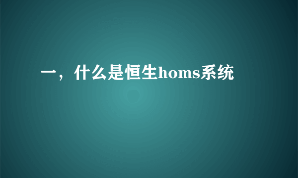 一，什么是恒生homs系统