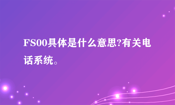 FS00具体是什么意思?有关电话系统。