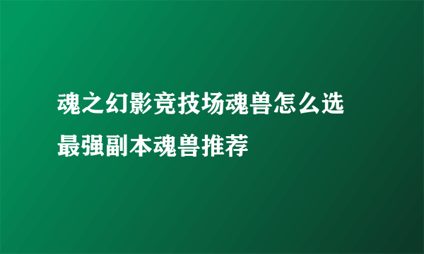 魂之幻影竞技场魂兽怎么选 最强副本魂兽推荐