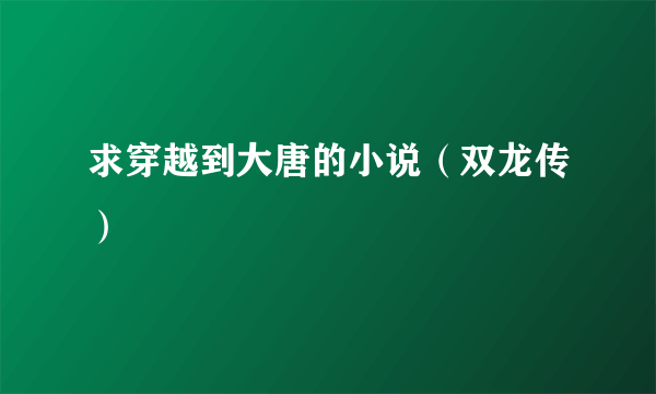 求穿越到大唐的小说（双龙传）