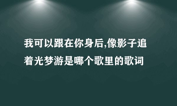 我可以跟在你身后,像影子追着光梦游是哪个歌里的歌词