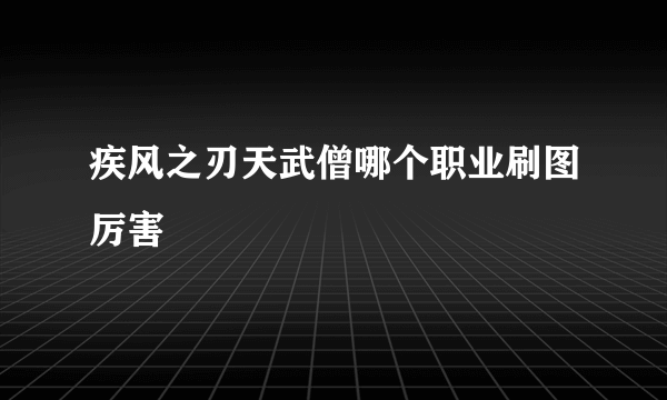 疾风之刃天武僧哪个职业刷图厉害