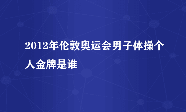 2012年伦敦奥运会男子体操个人金牌是谁