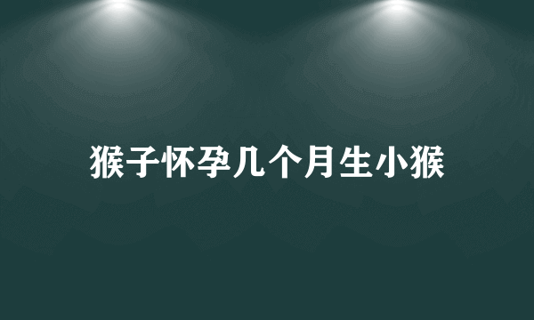 猴子怀孕几个月生小猴