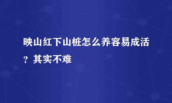 映山红下山桩怎么养容易成活？其实不难